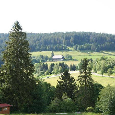 Bergsee Schluchsee Eksteriør bilde