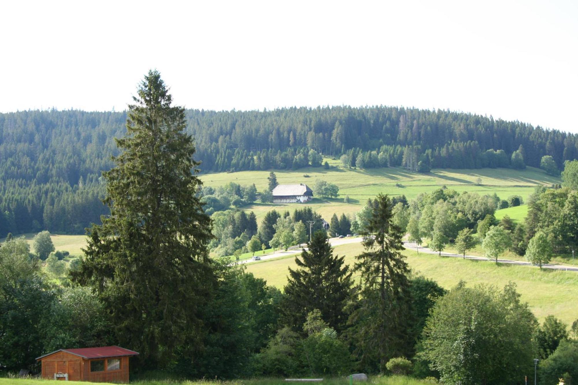 Bergsee Schluchsee Eksteriør bilde