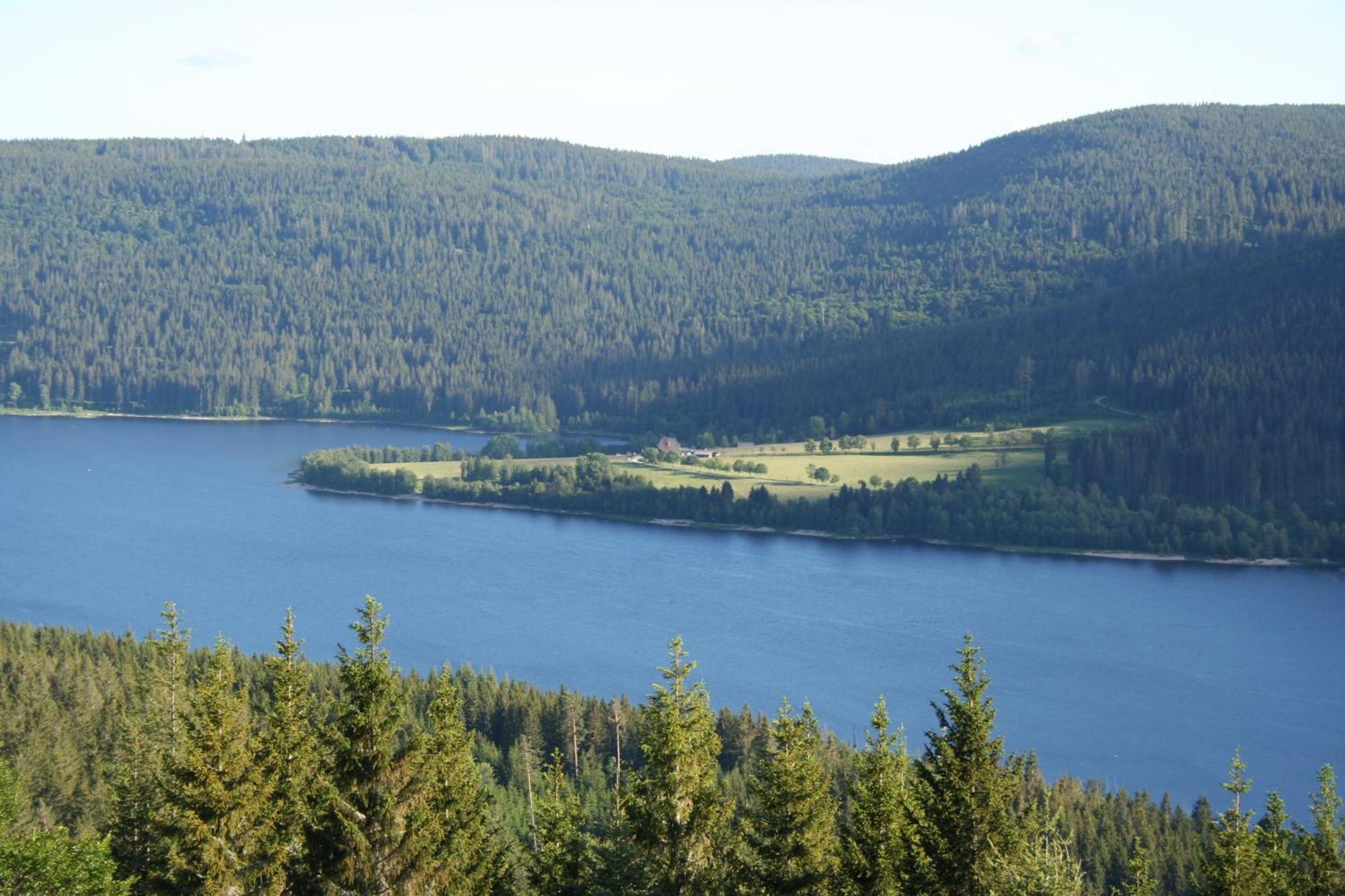 Bergsee Schluchsee Eksteriør bilde